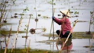Lấy phụ nữ làm trung tâm trong ứng phó với thiên tai, biến đổi khí hậu