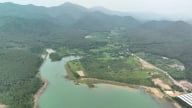 Thực hiện 7 nội dung Quy hoạch lâm nghiệp quốc gia