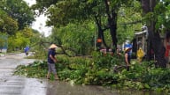 Chủ động ứng phó áp thấp có khả năng mạnh lên thành áp thấp nhiệt đới