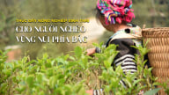 Thúc đẩy nông nghiệp sinh thái cho người nghèo vùng núi phía Bắc