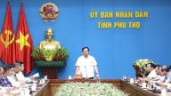 Phú Thọ gỡ vướng mặt bằng các dự án truyền tải điện trên địa bàn