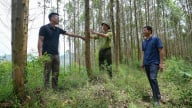 Giải phóng sức sáng tạo cho khoa học lâm nghiệp