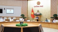 Vượt lên xáo trộn: Cần sự đồng hành trong thời điểm chuyển mình