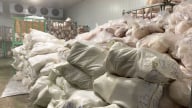 Đình chỉ hoạt động cơ sở mua bán thịt heo không rõ nguồn gốc