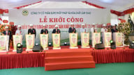 Hai sự kiện lớn diễn ra trong ngày 20/6 của Supe Lâm Thao