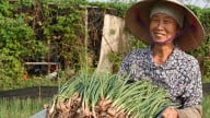Hà Nội xây dựng nông thôn mới, không còn hộ nghèo, tụ điểm phức tạp