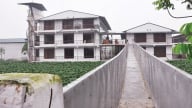 Mô hình chung cư cho lợn giúp phòng chống dịch tả Châu Phi
