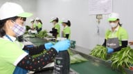 Những sản phẩm OCOP làm nên tên tuổi của nông sản Chương Mỹ