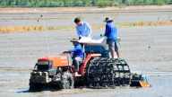 Khởi động vùng liên kết lúa chất lượng cao, phát thải thấp tại Đồng Tháp