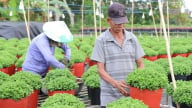 Đồng Tháp triển khai 55 mô hình khuyến nông giai đoạn 2026 - 2030