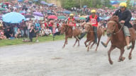 'Nghiêng say Vó Ngựa cao nguyên' Bắc Hà