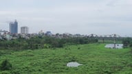 Hà Nội cho phép xây dựng công trình tạm trên đất nông nghiệp bãi sông