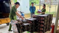 Bắt giữ 29 tấn thực phẩm đông lạnh không rõ nguồn gốc