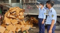 Tiêu hủy hơn 2,5 tấn nấm kim châm