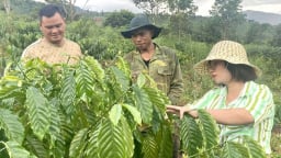 Hỗ trợ sinh kế theo thực tế, người dân vùng cao ấm no