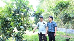 Chính sách giảm nghèo, an sinh được chọn lọc và giữ lại sau sáp nhập