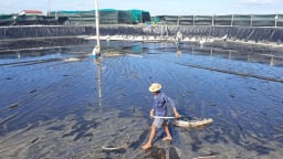 Bến Tre bứt phá về hướng Đông