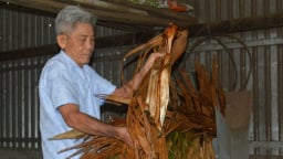 Lão nông biến mo cau, tàu dừa thành phân hữu cơ