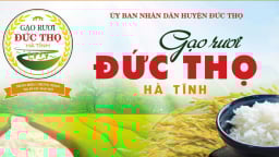 Chắp cánh thương hiệu 'gạo rươi Đức Thọ'