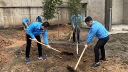 Lào Cai trồng thêm hơn 27 nghìn cây xanh tại huyện Văn Bàn