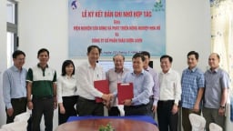 Hợp tác phát triển cây dược liệu