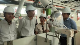 Tăng hiệu suất sử dụng đất nhờ mô hình trại lợn nhiều tầng