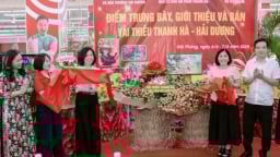 Vải thiều Thanh Hà lên kệ siêu thị GO! Hải Phòng