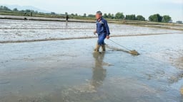 Thời vụ gấp gáp, nông dân Hà Tĩnh cấp tập làm đất gieo lúa hè thu