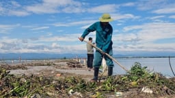 Quảng Trị khẩn cấp khôi phục sản xuất nông nghiệp sau bão số 1