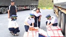 Hơn 31.500 tấn vải tươi xuất khẩu qua cửa khẩu Lào Cai