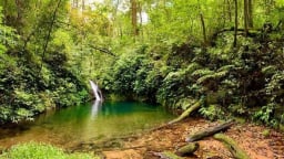 Vườn Quốc gia Vũ Quang - tương lai du lịch xanh