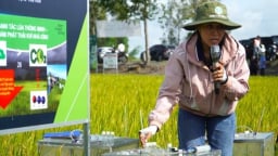 Giải thể trạm trồng trọt và bảo vệ thực vật, người trong cuộc nói gì?