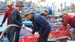 Vận động ủng hộ ngư dân ngành thủy sản có hoàn cảnh khó khăn