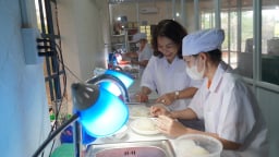 Chăm sóc đàn chim bằng sự tận tâm