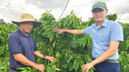 Nền tảng thuận lợi để Gia Lai lan tỏa IPHM