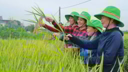 TBR97 khẳng định vị thế vững chắc tại Nghệ An
