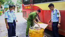 Phát hiện, tiêu huỷ hơn 450kg nội tạng bẩn