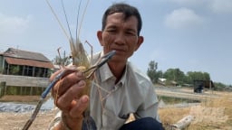 Trà Vinh quy định mức hỗ trợ thiệt hại sản xuất nông nghiệp do thiên tai
