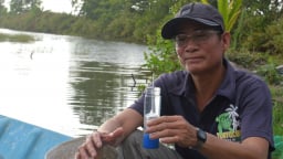 Sốc môi trường - Nỗi lo thường trực của người nuôi tôm quảng canh