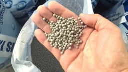 Tạm giữ 64 tấn sản phẩm phục vụ nuôi trồng thủy sản nghi bị làm giả