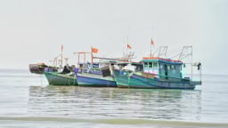 An Giang gia hạn 1 năm cho tàu cá thuộc diện ‘mất tích’ đăng ký lại