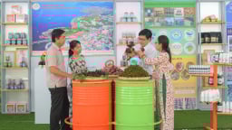 Hà Tiên hướng tới đô thị cửa khẩu quốc tế hiện đại