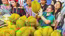 Sầu riêng ASEAN đổ về Quảng Tây nhờ đòn bẩy RCEP