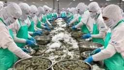 Hoa Kỳ giảm thuế đối ứng với Việt Nam từ 46% xuống 20%