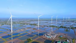 Việt Nam tiên phong hành động vì khí hậu toàn cầu