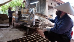 Lương thực và di sản: Suy ngẫm về hành trình 80 năm của Việt Nam