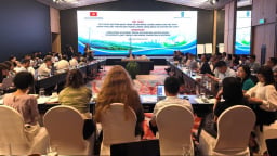 UNDP hỗ trợ nâng cao hiệu quả năng lượng, giảm phát thải