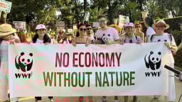 WWF: Khó hiện thực hóa mục tiêu bền vững nếu bỏ qua thiên nhiên