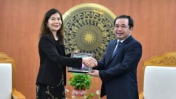 Quyền Bộ trưởng tiếp xã giao Trưởng đại diện Liên hợp quốc tại Việt Nam