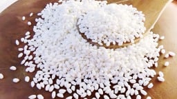 Giá lúa gạo hôm nay 21/7/2025: Thị trường ổn định